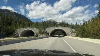 Fotr na tripu 10, Banff