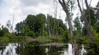 Trip Drawsko, cyklostezka