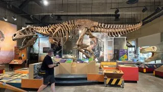 Fotr na tripu 10, dinosauři