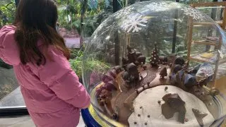 Fotr 11, Helsinky, čokoládovna