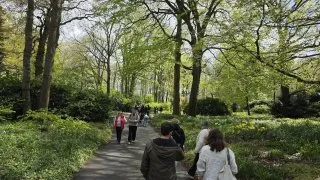 Keukenhof
