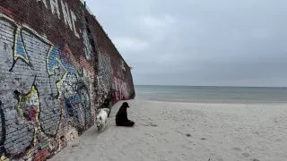 Fotr na tripu 9, Prora