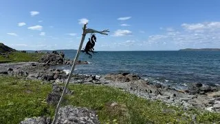 Fotr na tripu 10, velryby