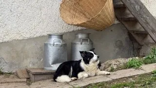 Slovinský trip