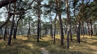 Fotr na tripu 9, Rujána