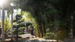 Ford trip, Little Tokyo