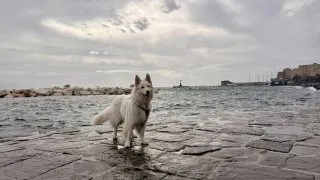 Fotr na tripu 11, Neapol