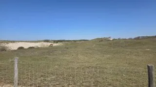 Trip Holandsko, Zeeland, kolo