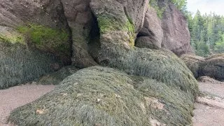 Fotr na tripu 10, Hopewell Cape