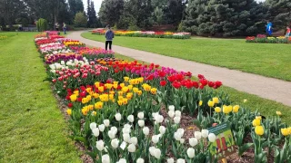 Tipy, kam vyrazit na prvního máje. Zkuste netradiční muzeum nebo dendrologickou zahradu