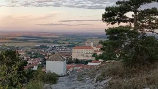 Pálava Inline