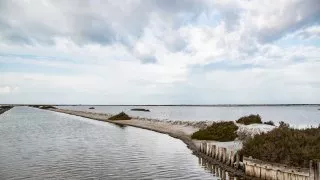 Ford trip, Camargue