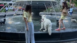 Fotr na tripu 10, psí fontána