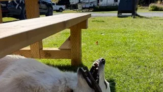 Fotr na tripu 10, kempování v Kanadě