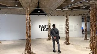 Fotr 11, Helsinky, galerie EMMA