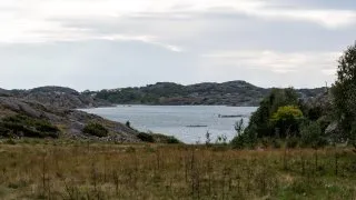 Volvo trip: Toftenäs naturreservat