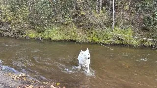 Fotr na tripu 10, Dawson City