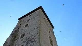 Vodní hrad Švihov