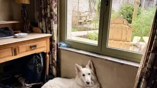 Fotr na tripu 11, Bruggy