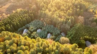Forest Holidays