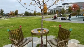 Fotr ve Finsku, design