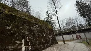 Fotr na tripu 9, Vlčí doupě