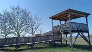 Neusiedler See
