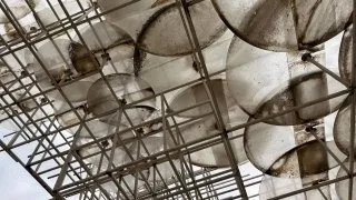 Fotr na tripu 11, Tirana