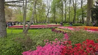 Keukenhof