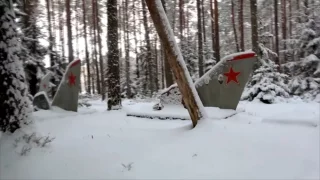 Fotr na tripu 9, Saaremaa