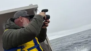 Fotr na tripu 10, velryby