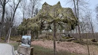 Fotr na tripu 9, Vlčí doupě
