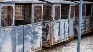 Dacia Bigster, trip Itálie, Galleria Henry