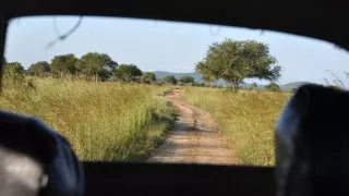 Safari v srdci Afriky
