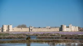 Ford trip, Camargue