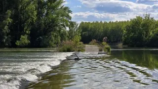 Žitný ostrov, Dunajské luhy na kole