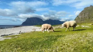 Přes Nordkapp na Lofoty