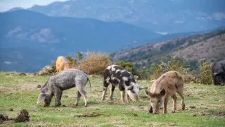 Dacia Bigster, trip Itálie, Bruncu Spina