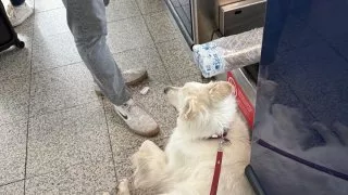 Fotr na tripu 10, odjezd