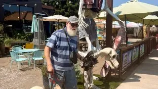 S pejskem na Route 66