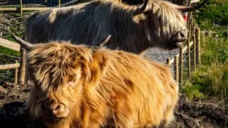 Skotsko roadtrip 2025