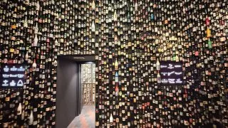 Fotr na tripu 11, Bruggy na talíři