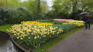 Keukenhof