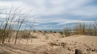Ford trip, Duna du Pyla