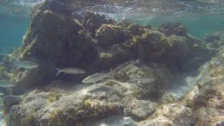 Sardinie 2. díl