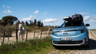 Ford trip, Camargue auto
