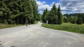 Inline Šumava