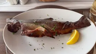 Slovensko Trip
