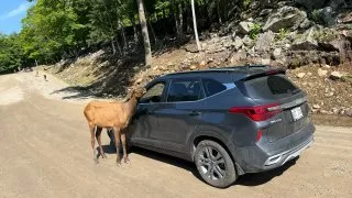 Fotr na tripu 10, Parc Omega