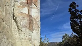 Gallup